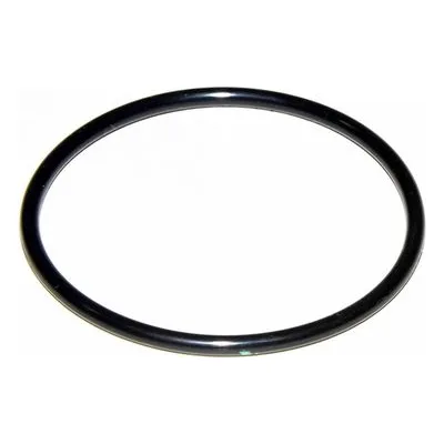 Yamada Pumps Part # 685447 O RING