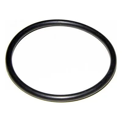 Yamada Pumps Part # 684121 O RING 84.6 MM X5.7 MM E70