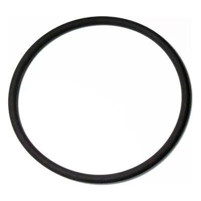 Yamada Pumps Part # 642069 O RING 104.3MM X 5.7MM V75