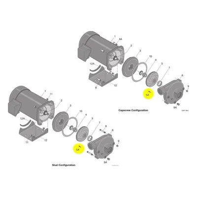 Berkeley Pump C30-14SS Water System Parts