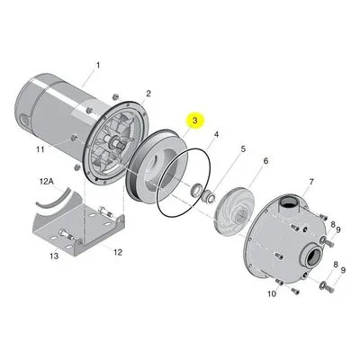 Berkeley Pump C3-200SS Water System Parts