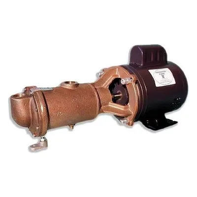 Oberdorfer Pump 101, Helical Rotor Pump