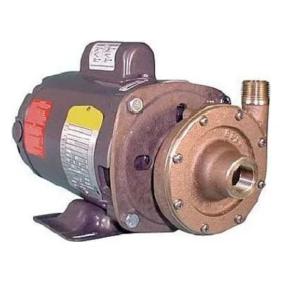 Oberdorfer Pump 104M